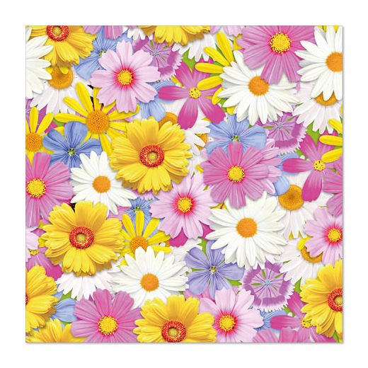 Servietten, 3-lagig 1/4-Falz 33 x 33 cm "Daisies Mix" 1